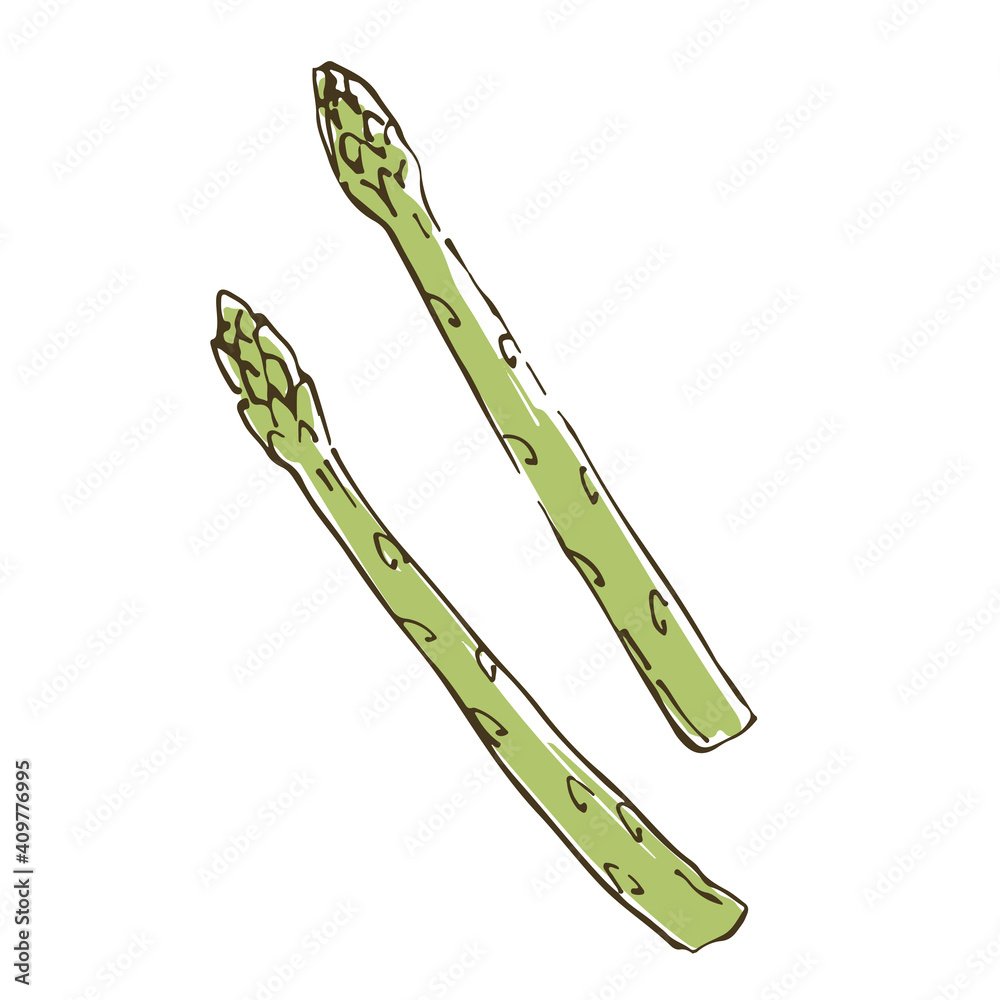 アスパラガス 野菜の手描きスケッチイラスト Vector De Stock Adobe Stock アスパラガス 野菜の手描きスケッチイラスト Vector De Stock Adobe Stock