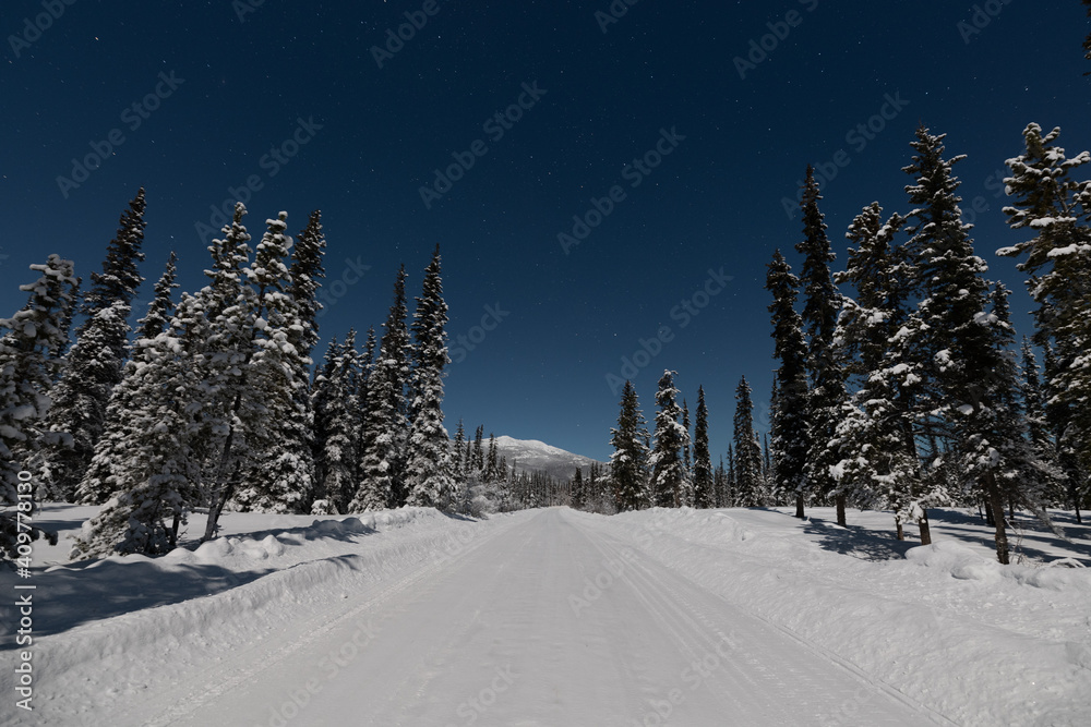 Night time scene of a winter road in northern Canada, Yukon Territory. Taken on moon lit night with bright, blue starry sky, spruce, trees surrounding the road. 