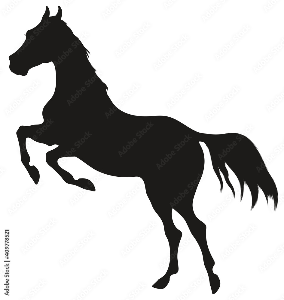 Naklejka Black silhouette of a stallion standing on its hind legs. Horse reared. Vector design element for decoration of equestrian equipment.