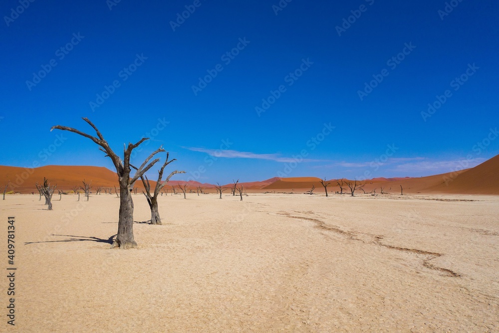 deadvlei