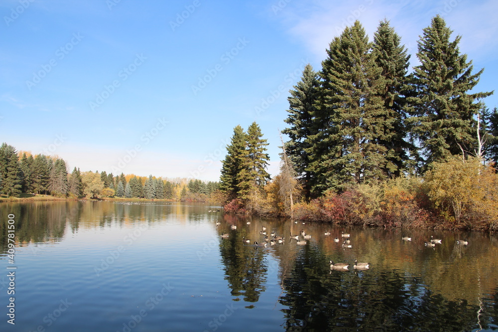 Life On  The Lake, William Hawrelak Park, Edmonton, Alberta