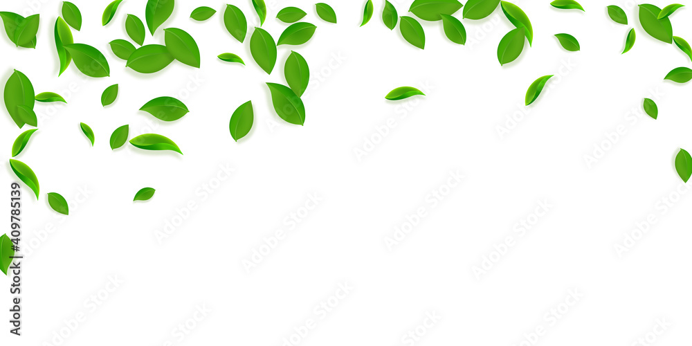 Falling green leaves. Fresh tea chaotic leaves fly Falling green leaves. Fresh tea chaotic leaves fly