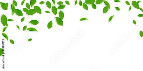 Falling green leaves. Fresh tea chaotic leaves fly