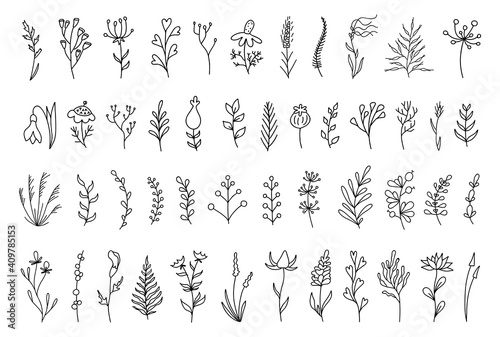 Set of hand drawn floral decoration elements. Doodle botanical collection with branches, leaves, herbs, wild flowers foliage. Meadow plants. Vector vintage template for cards, invitations, quotes, fra