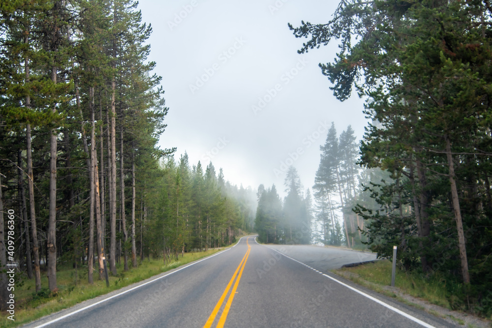 Fototapeta premium Hayden Valley and Yellowstone River, Yellowstone National Park