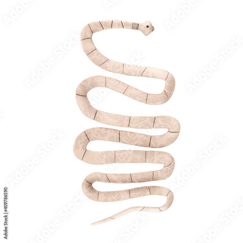 Taenia Solium Tapeworm Closeup Microscopic View. 3d Rendering