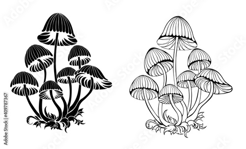 Silhouette hallucinogenic mushrooms