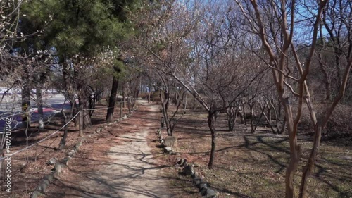 Walk along a small square along a road along a narrow path. The walking path goes under dry tree crowns. photo