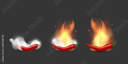 Set of Red hot peppers on fire and smoke. Chili peppers white clouds of smoke and flames. Realistic style. Vector