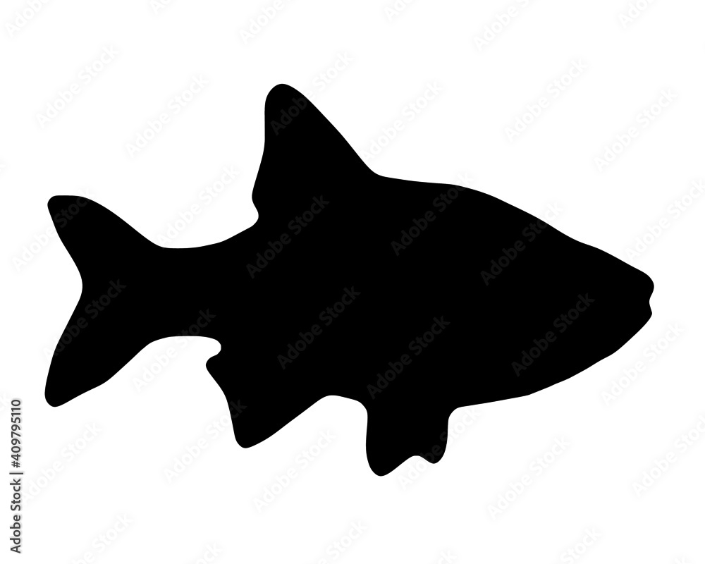 Vector black silhouette of fish on white background Vector black silhouette of fish on white background