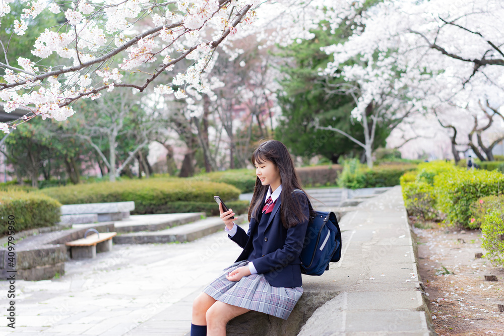 桜咲く公園でスマートフォンを見る女子学生 桜咲く公園でスマートフォンを見る女子学生