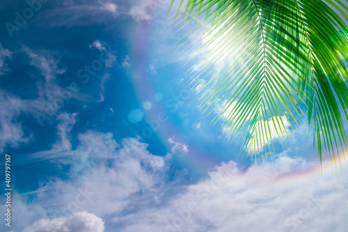 Blue sky background with green coconut palm leaves,relax or holiday season concept
