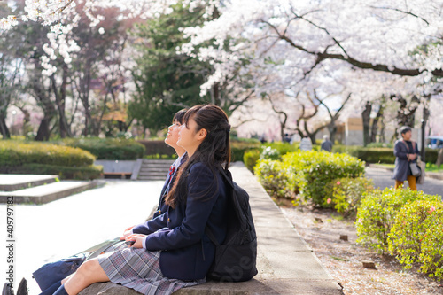 桜咲く公園の女子学生2人