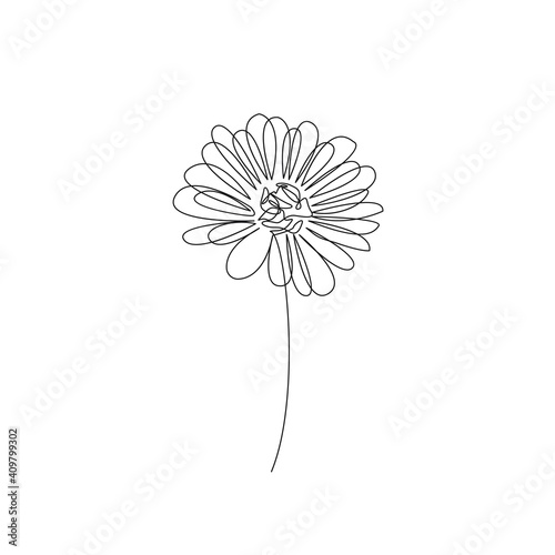 Fotografia One Line Vector Drawing of Flower