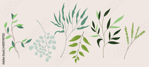 Floral set hand drawn color leaves. Cute isolated elements. Clip art for stationery  web design. Modern floral compositions. Vector illustration.
