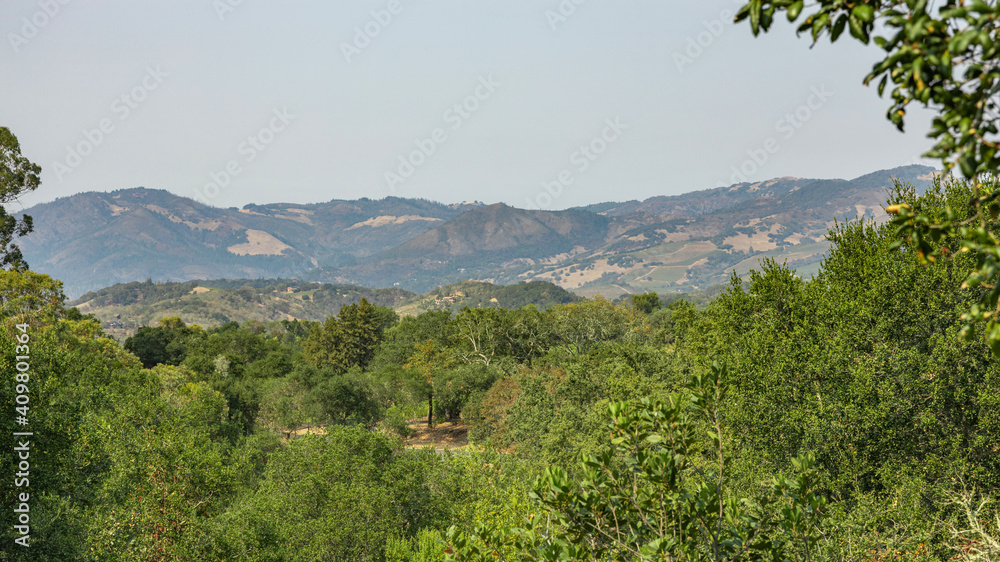 Naklejka premium View of Sonoma Valley, California, USA, warm summer weather, beautiful landscape.