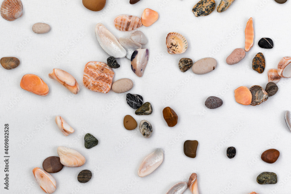 Multi-colored seashells and stones lie on a white cloth. Flatlay. Background from marine fossils.