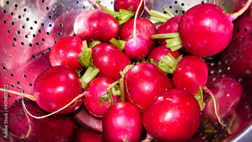 Freshly harvested radishes in a metal saucepan, ready to cook. photo