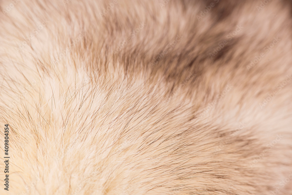 wool texture background, fur with a delicate peach tint wool texture background, fur with a delicate peach tint