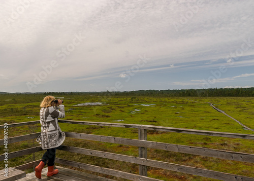 woman viewing binoculars from observation tower, swamp background, summer landscape in the swamp