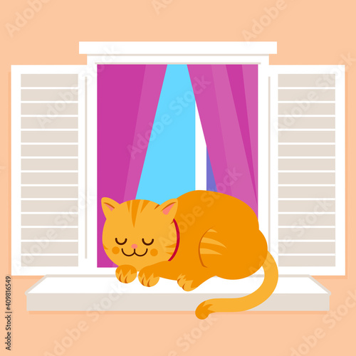 Cat sleeping on a window sill at home. Vector illustration