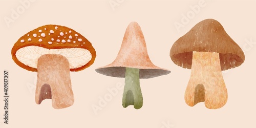fantasy mushroom house illustration