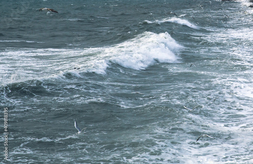 Fototapeta Naklejka Na Ścianę i Meble -  wave in the sea