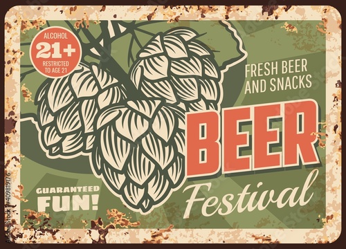 Beer festival rusty metal plate, vector draught craft beer brewing traditions and hop leaves, brewery and brewing house fest vintage rust tin sign retro poster, ferruginous card with age restriction