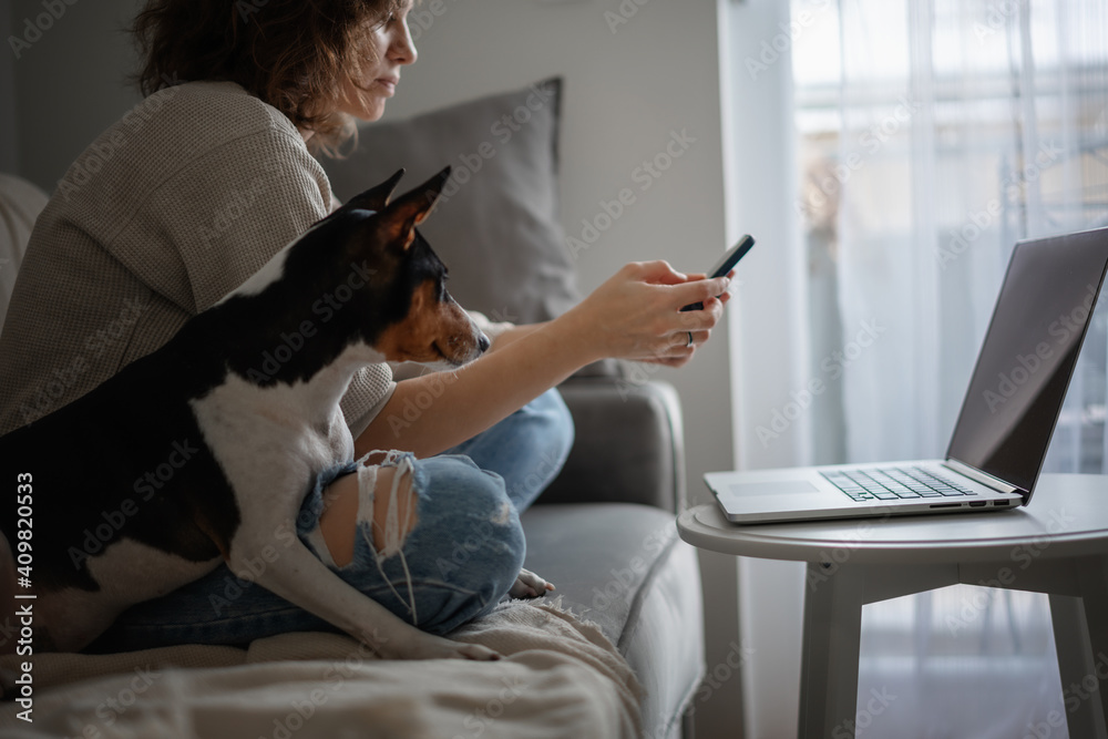 Fototapeta premium Pretty curly happy young woman sitting at home on the couch in front of a laptop with a mobile phone in her hands with her pet dog working and learning online