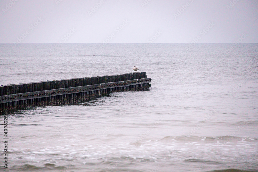 seaside landscape of the baltic sea on a calm day with a wooden breakwater