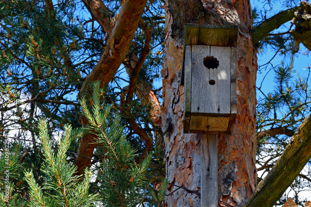 Birdhouse close up. Wooden birdhouse for birds. The bird house hangs on a tree. Accommodation for birds. Caring for the world around you.