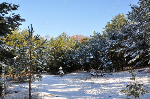 winter erpe valley photo