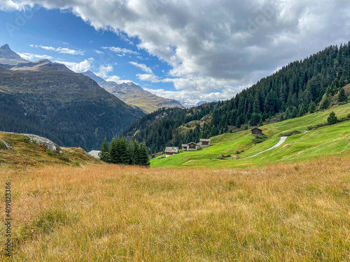 Alpwiese mit Chalets oberhalb von Vals in Graubünden