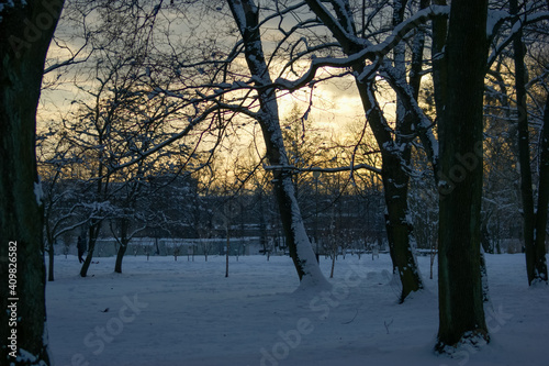 Snowy winter views of winter city