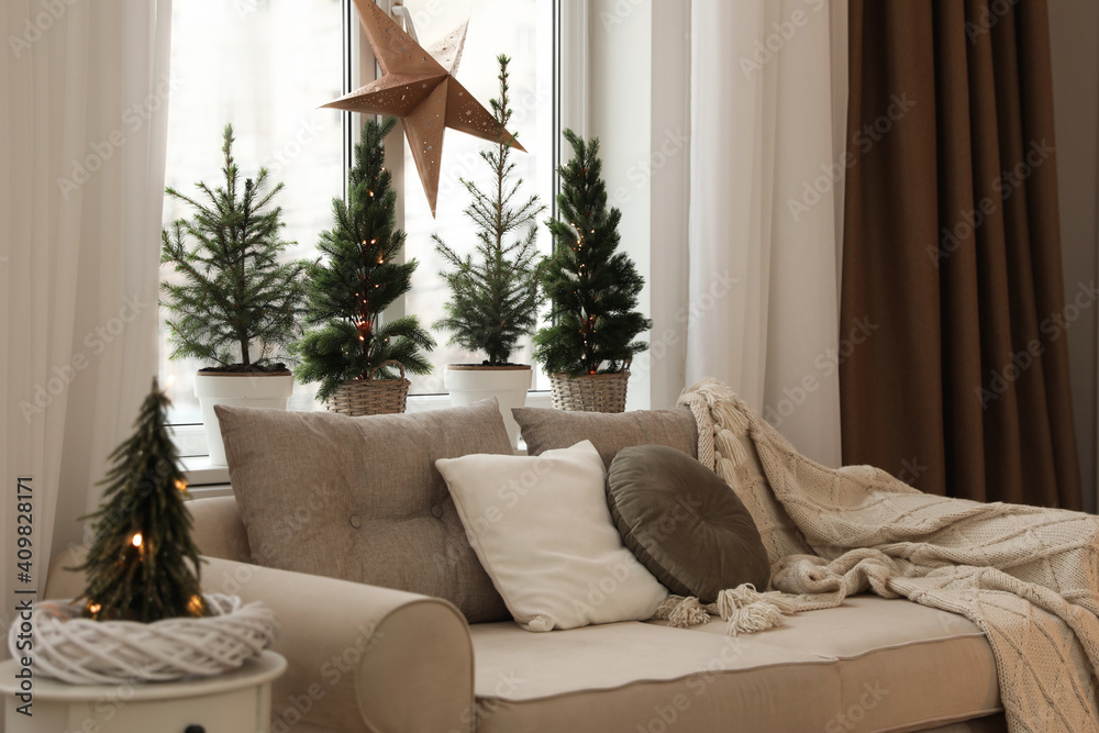 Sofa near window with small fir trees in room. Interior design Sofa near window with small fir trees in room. Interior design