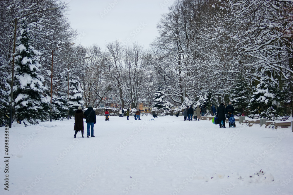 children playing in snow children playing in snow