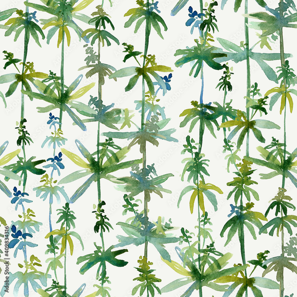 Field plant. Watercolor branches of a field grass. Spring wild flowers, twigs, leaves. Seamless pattern on a white background. Airy, botanical, natural. For printing and design on fabric, paper.