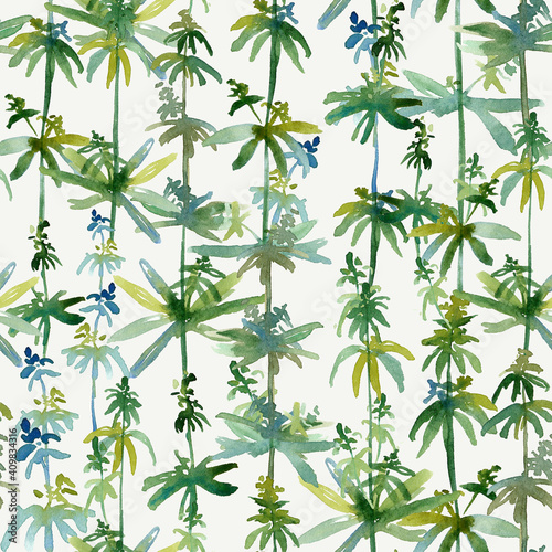 Field plant. Watercolor branches of a field grass. Spring wild flowers  twigs  leaves. Seamless pattern on a white background. Airy  botanical  natural. For printing and design on fabric  paper.