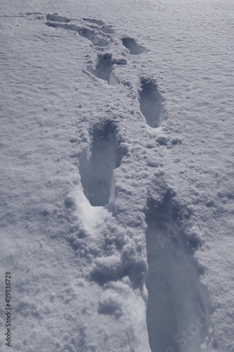 Human footprints in new fresh deep snow in sunny winter weather