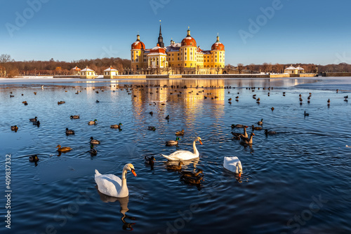 Obraz na płótnie Moritzburg Castle In Saxony In Winter w salonie