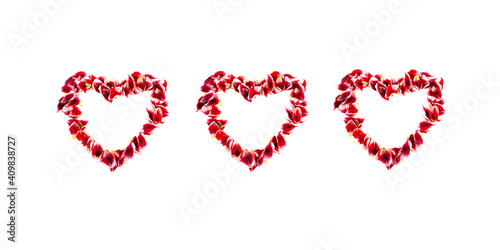 Flower petals hearts isolated on white. Love background. Three romantic heart shapes made of tulip petals.
