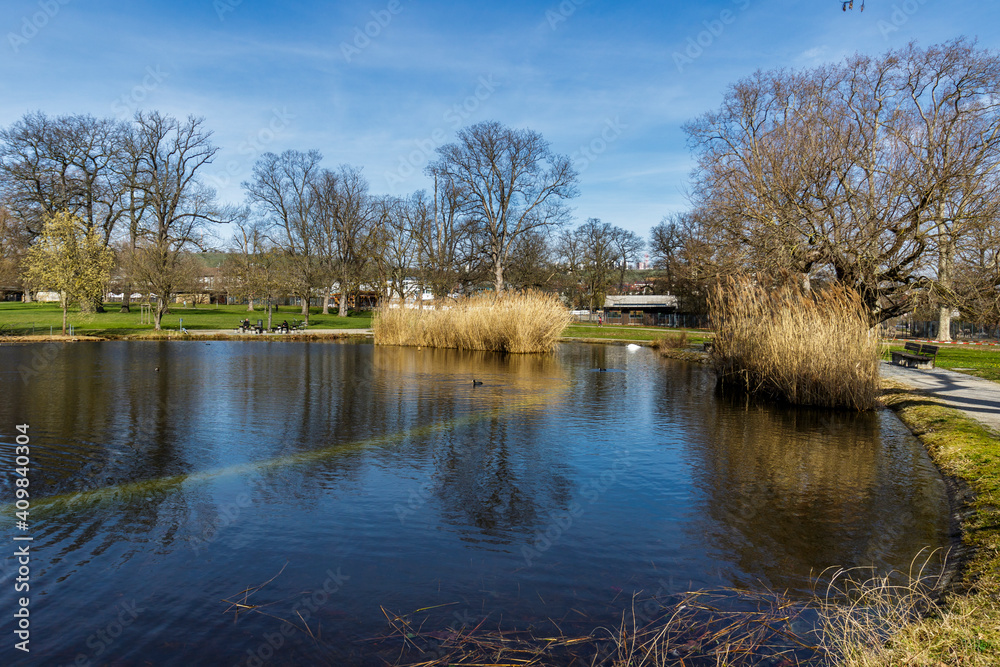 Pumpsee, Rosensteinpark, Stuttgart, Baden-Württemberg, Deutschland Pumpsee, Rosensteinpark, Stuttgart, Baden-Württemberg, Deutschland