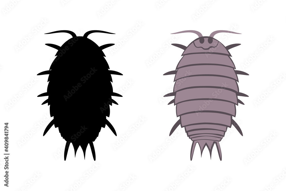 Vector drawing wood lice isolated on a white background Vector drawing wood lice isolated on a white background