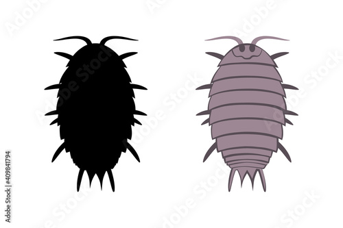 Vector drawing wood lice isolated on a white background