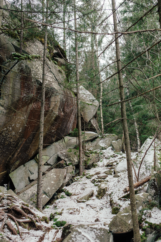 Landscape in the forest in the mountains. Rocks and tree trunks covered in moss Landscape in the forest in the mountains. Rocks and tree trunks covered in moss