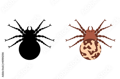 Poisonous spider silhouette arachnid fear graphic flat scary animal poisonous design nature phobia insect danger horror tarantula halloween poisonous black spider vector icon