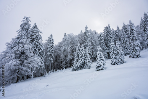White winter landscape with snowy nature in the Romanian Carpathians