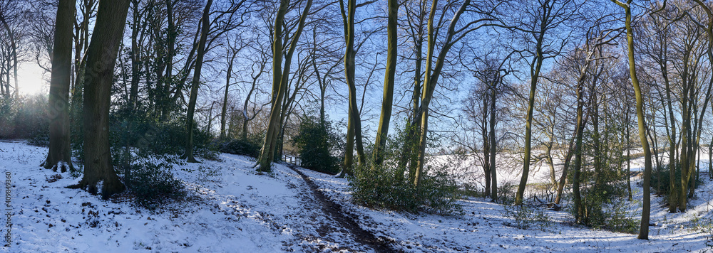Snow Landscape Snow Landscape