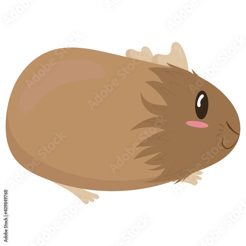 cute fluffy brown guinea pig, side view, cute domestic rodent, vector illustration in flat style