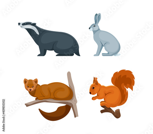 Woodland forest animals. Cute wild forest animals badger, hare, squirrel, sable